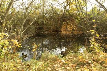 příkop na jihu ( © Milan Caha 10/2008)