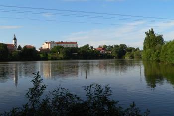 Pohled na ruiny od rybníka (© Jan Bobek, 07/2010)