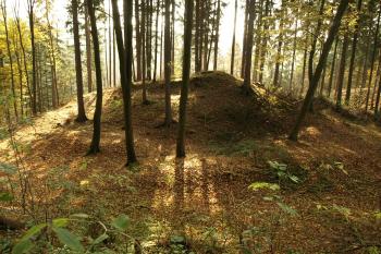 centrální část tvrziště ( © Milan Caha 10/2008)