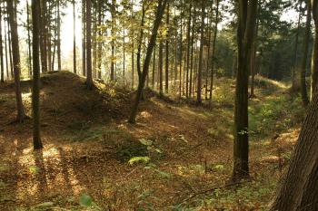 centrální pahodek, široký příkop a val ( © Milan Caha 10/2008)