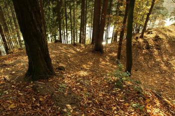 ukončení valu na příkrém svahu nad Želivkou ( © Milan Caha 10/2008)