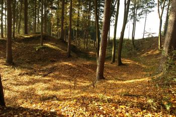  ( © Milan Caha 10/2008)