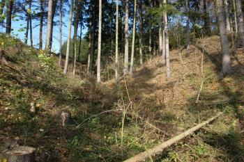 příkop ( © Milan Caha 10/2008)