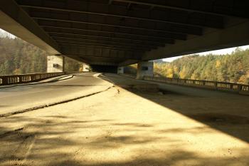  ( © Milan Caha 10/2008)