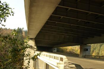  ( © Milan Caha 10/2008)