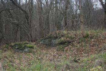  (© Luděk Vláčil, 11/2014)