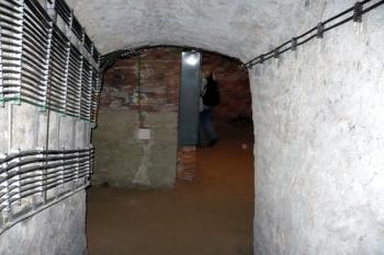  (© Marek Spurný, 11/2008)