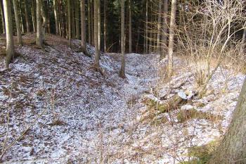  ( © Roman Řezáč 12/2007)
