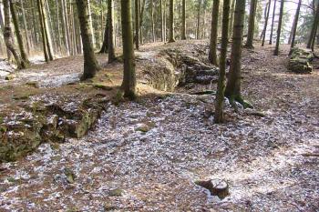  ( © Roman Řezáč 12/2007)