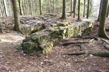  ( © Roman Řezáč 12/2007)