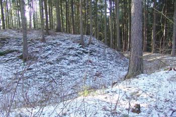  ( © Roman Řezáč 12/2007)
