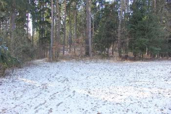  ( © Roman Řezáč 12/2007)