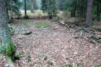 Lusthaus