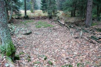 pohled na jeden z bývalých pstruhových rybníčků ( © Jan P. Štěpánek 11/2008)