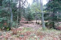 Lusthaus