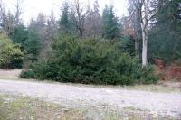 Lusthaus