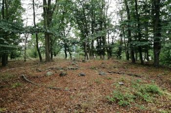 Malechovská hůrka (© Jaroslav Vavera  08/2020)