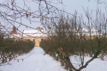 Pohled na zámek přes ovocný sad ( © Pavel Vítek 01/2006)
