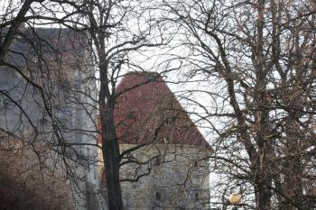 Bašta žateckých hradeb ( © Iva Spurná 24.2.2008)