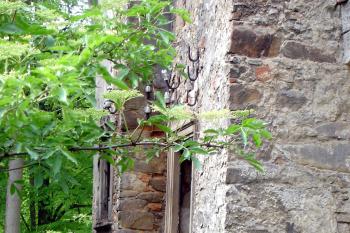 Zbytky prevétu ( © Iva Spurná 7.5.2007)