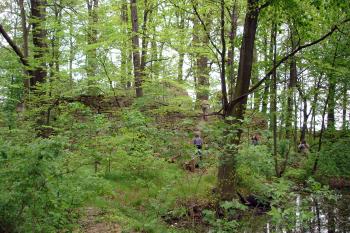 Hrad stojí na nepatrné vyvýšenině na okraji vzrostlého lesa obklopený mokřinami ( © Iva Spurná 7.5.2007)