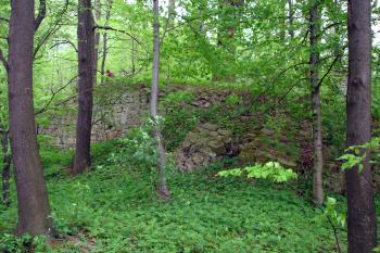 Obvodová zeď ( © Iva Spurná 7.5.2007)