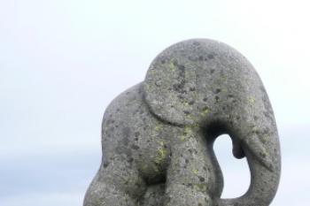 slůně na Králickém Sněžníku ( © Jan P. Štěpánek 10/2008)