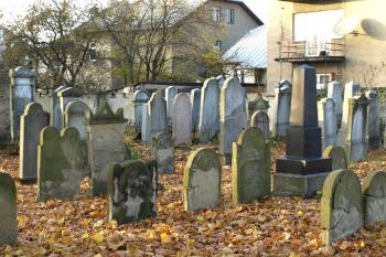 nejstarší náhrobky ( © Milan Caha 11/2008)