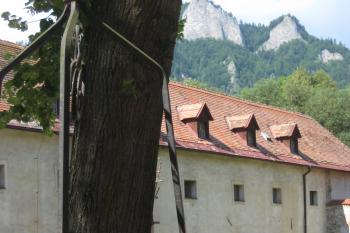  (© Zdeněk Susa, 08/2008)