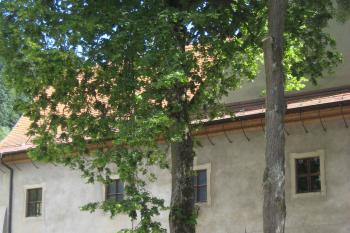  (© Zdeněk Susa, 08/2008)