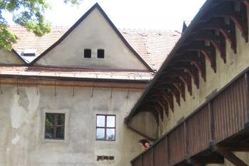  (© Zdeněk Susa, 08/2008)