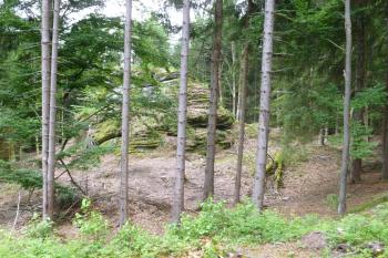 Šelmberk-pozůstatky hradu (© Vlastislav Mareček, 06/2016)