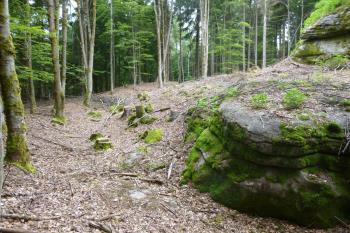 Šelmberk-pozůstatky hradu (© Vlastislav Mareček, 06/2016)
