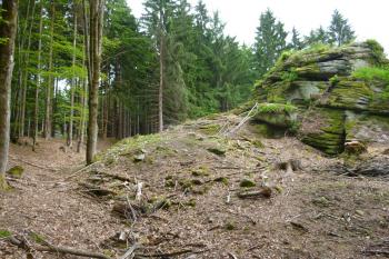 Šelmberk-pozůstatky hradu (© Vlastislav Mareček, 06/2016)