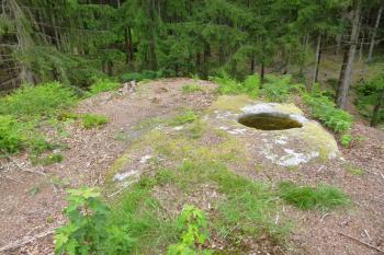 Šelmberk-pozůstatky hradu (© Vlastislav Mareček, 06/2016)