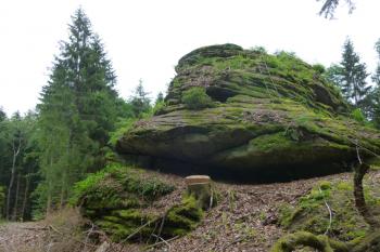 Šelmberk-pozůstatky hradu (© Vlastislav Mareček, 06/2016)