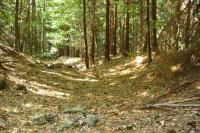 Šelmberk