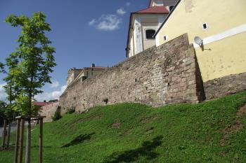  (© Michal Brůža, 07/2011)