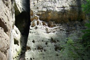 Falkenštejn (© Michal Brůža, 07/2009)