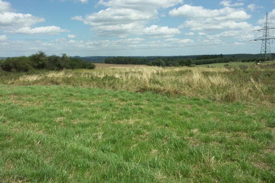 Očín