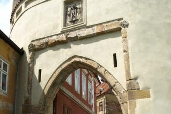  ( © Milan Caha 05/2011)