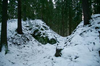 Dochovaný příkop (© Petr Nožička, 11/2008)