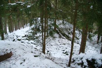 Pohled přes příkop na těleso hradu (© Petr Nožička, 11/2008)