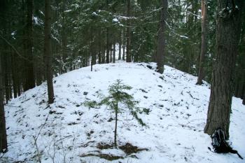 Pohled na místo, kde pravděpodobně stála stavba (© Petr Nožička, 11/2008)