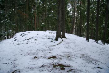 Pohled na plošinu hradu (© Petr Nožička, 11/2008)