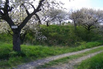 Hrádek Chlum ( © Marek Skýpala 04/2007)
