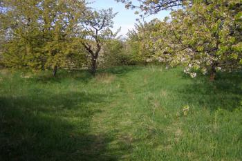 Hrádek Chlum ( © Marek Skýpala 04/2007)