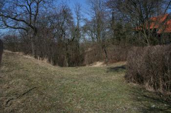 Příkop tvrziště ( © Petr Nožička 03/2012)