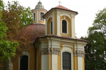  (© fotohad.cz, 08/2008)