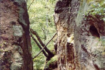 Kokořínský důl (© Kudrna Zdeněk 08/2004)